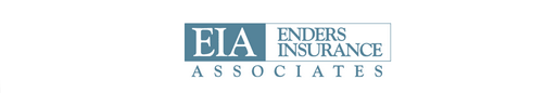 Ender Insurance mini Header